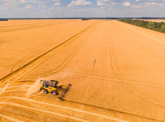 Combine harvester on the field of wheat. Perfect summer view from flying drone of harvesting wheat on sunset.
