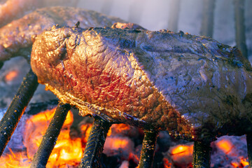 Parrilla Argentina, traditional barbecue made with  straight from the wood