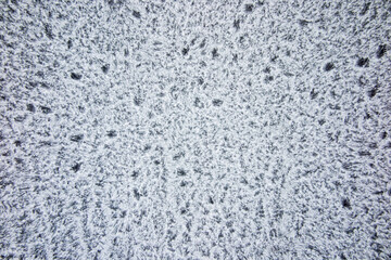 frost, ice coating on the garage window pane