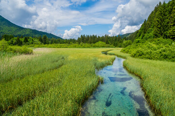Wonderful Slovenia on kranjska Gora and  the natural reserve of Zelenci