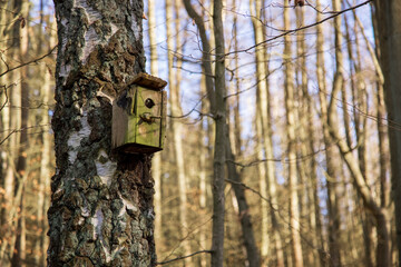 Nistkasten an einem Baum im Wald