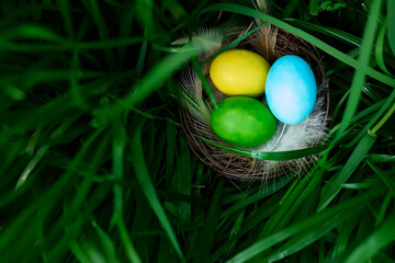 Stylish colorful easter eggs with feathers in the nest on green grass background. Happy Easter. Greeting card template.
