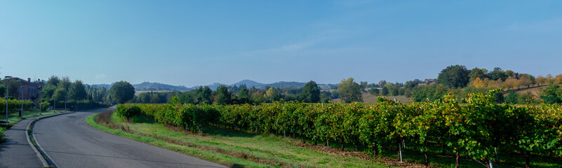 Fototapeta na wymiar road in rural landscape in the countryside