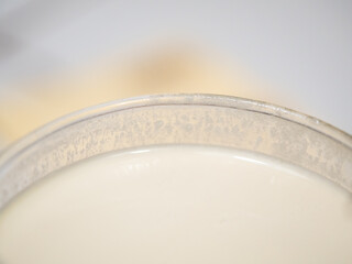 Drink from Nuts, Sweet Horchata