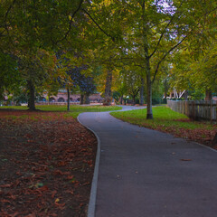 autumn in the park