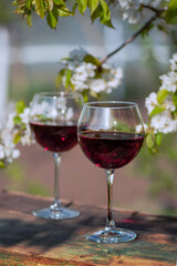 Wine Tasting Party in spring in the garden