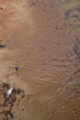 Sandy beach and waves. View from above.