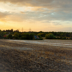 Fototapeta na wymiar field at sunset