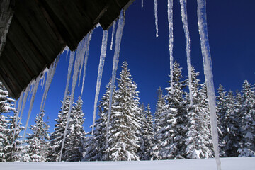 Shepherd shelters in Polana Kopieniec, Tatra Mountains, Poland  © bayazed