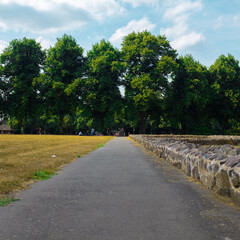 road in the park