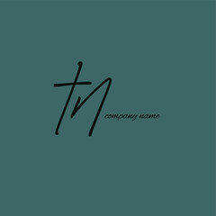 TN initial handwritten calligraphy, for monogram and logo