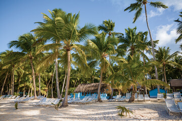 Secluded beach on Saona Island, La Romana, Dominican Republic