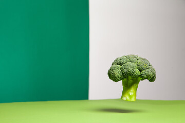 Fresh broccoli head hanging in green studio