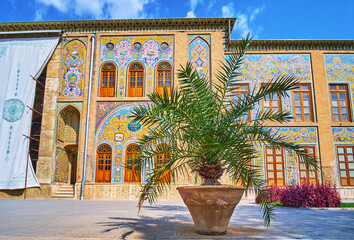 The plants in pots in Golestan, Tehran, Iran