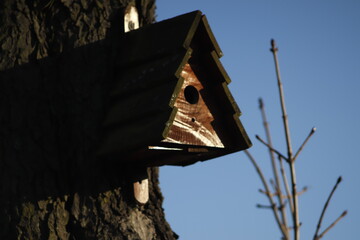 drewniany  domek  dla  ptaków  zawieszony  na  wielkim  drzewie - 415910442