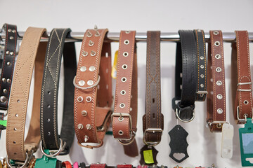 many different collars for dogs in the shop window