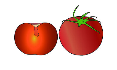 tomato isolated on white