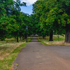 path in the park