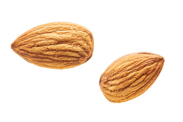 almond isolated on white background. prunus dulcis cut out