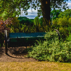 bushes in park