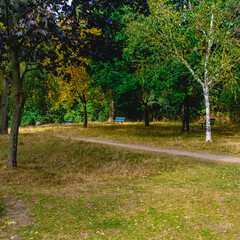 path in the park