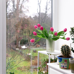 Balkon, Blumen, Wintergarten