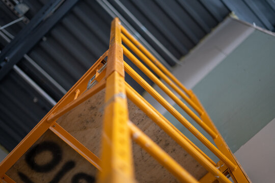 Scaffold