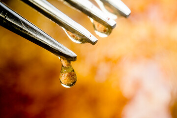 Sweet Canadian maple syrup dripping from a fork with french toast