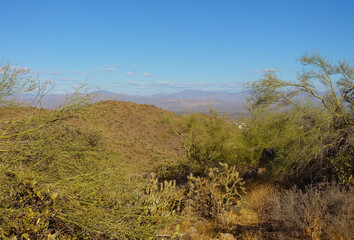 This is one of many scenic views from the Overlook Trail at Adero Canyon Trailhead in Fountain Hills, Arizona.