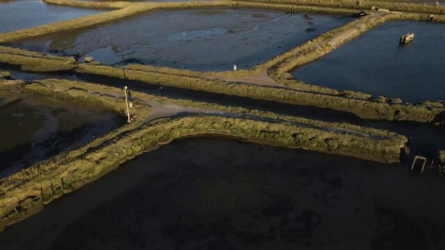 4K aerial view of the Ria de Aveiro in the estuary of the river Vouga.  Drone moving forward over the simetric square ponds.