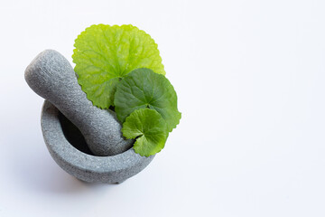 Fresh leaves of gotu kola in mortar with pestle on white