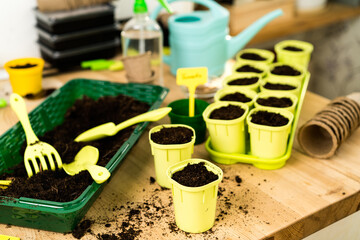 pots with soil on a wooden table for planting seeds and seedlings of vegetables, micro greens, arugula, gardening concept and planting plants