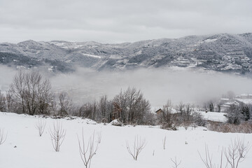 Snowy landscape