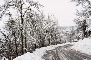 Snow-covered road with trees on the sides.