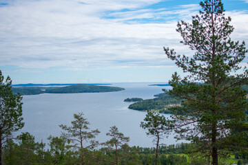 Overlooking High Coast in Sweden with trees around