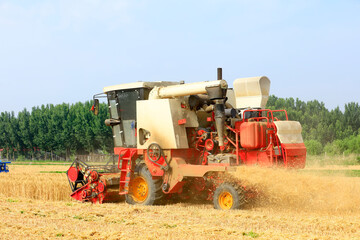 Fototapeta premium combine harvester working on a wheat field