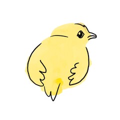 Yellow chickens. Watercolor painting. Handmade watercolor illustration.