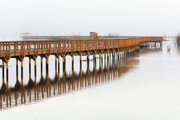 The foggy elevated boardwalk at the Billy Frank Jr. Nisqually National Wildlife Refuge near Olympia Washington State