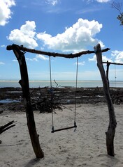 O balan&ccedil;o no mangue 