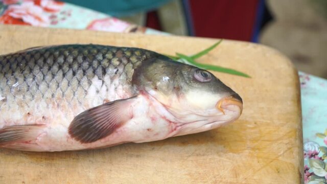 Woman cleans river fish on shore