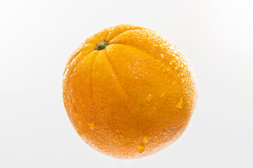Freshly picked navel oranges