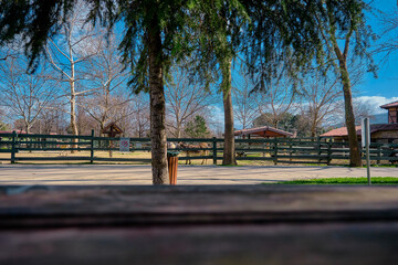Obraz premium Groups of donkeys in their open barn behind the green color fences made of wooden material together with rubbish bin similarly made of wooden material in a zoo.