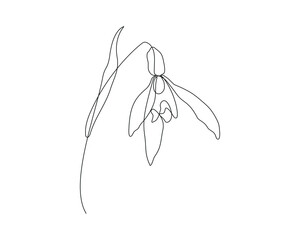 snowflake or snowdrop flower illustration in one line art style. continuous drawing in vector best used for icon, wall art prints, posters, magazine, postcard, etc.