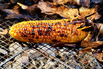 焼きもろこし　バーベキュー