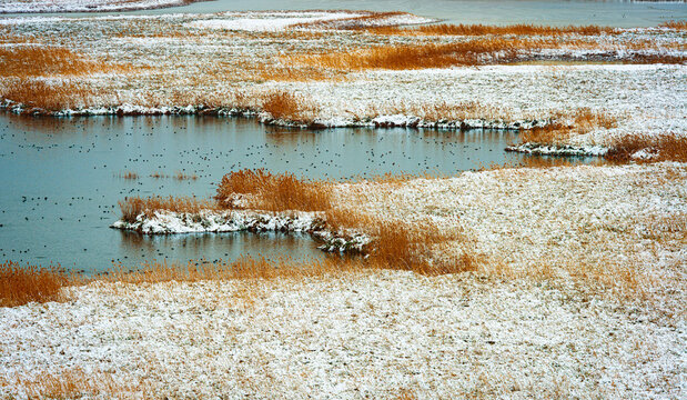 winter landscape with the steppen lake