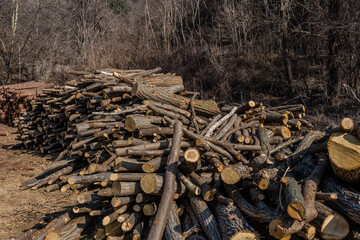 Pile of cut logs stacked in open field