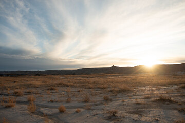 Fototapeta na wymiar Beautiful Desert Landscape 
