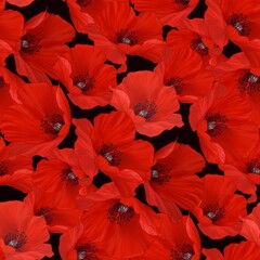 Hand drawn illustrations red poppy on black background design for seamless pattern.