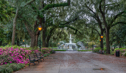 Gorgeous spring azalea in bloom at historic Savannah Forsyth park fountain  - Georgia