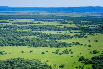 Obraz premium 釧路湿原 サテライト展望台